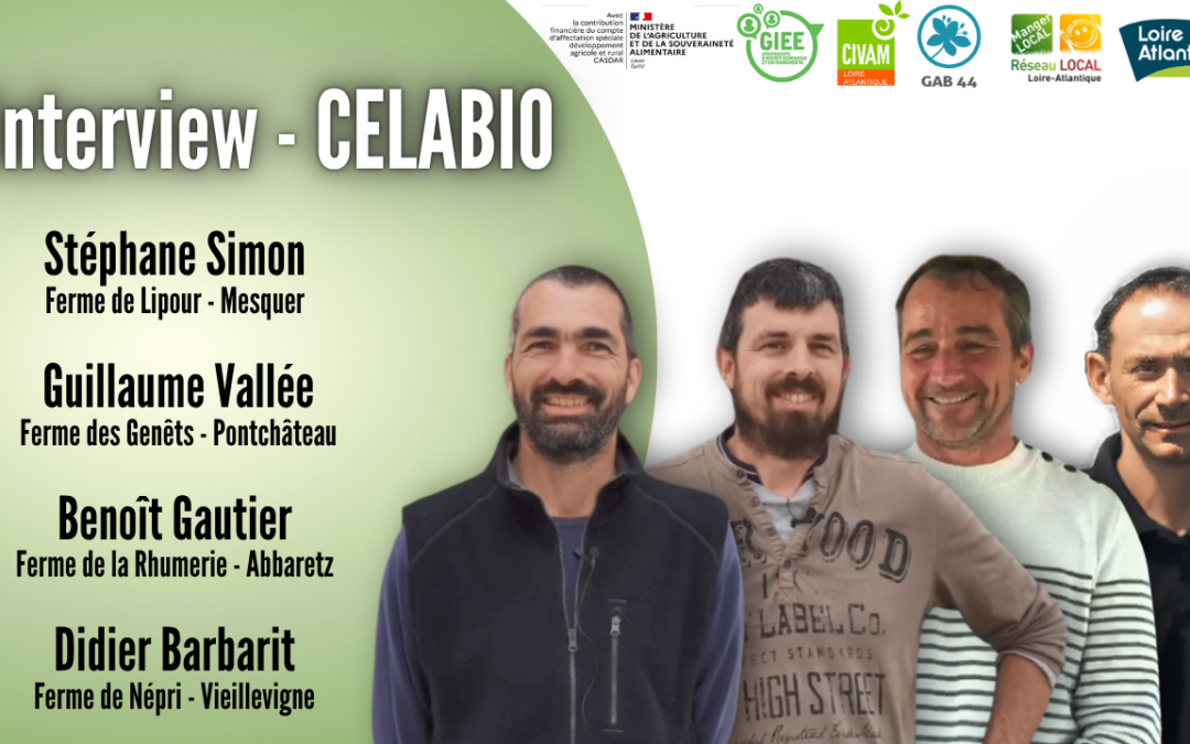 Témoignage du collectif CELABIO